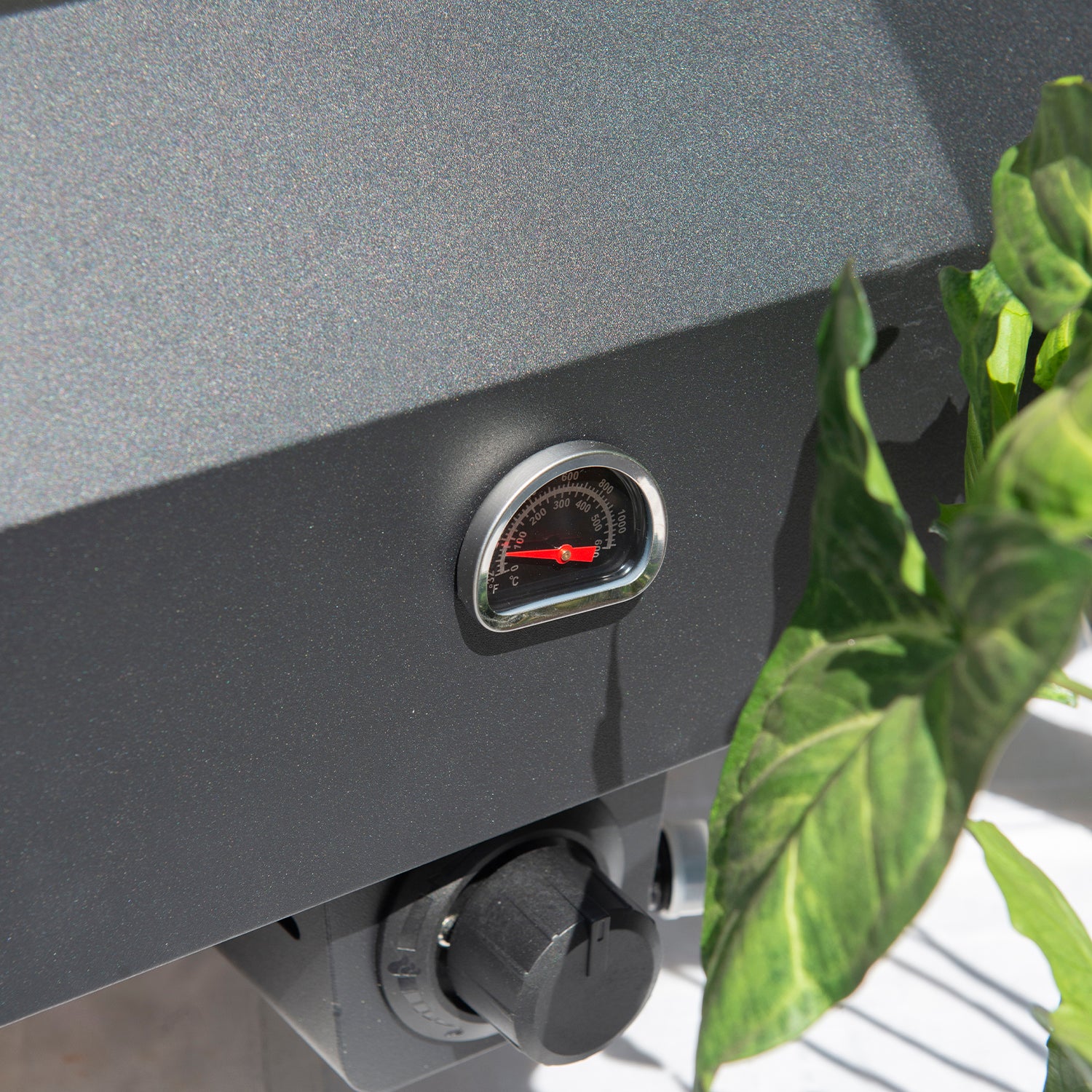 HORNO PIZZERO - OVEN ROVER 12"