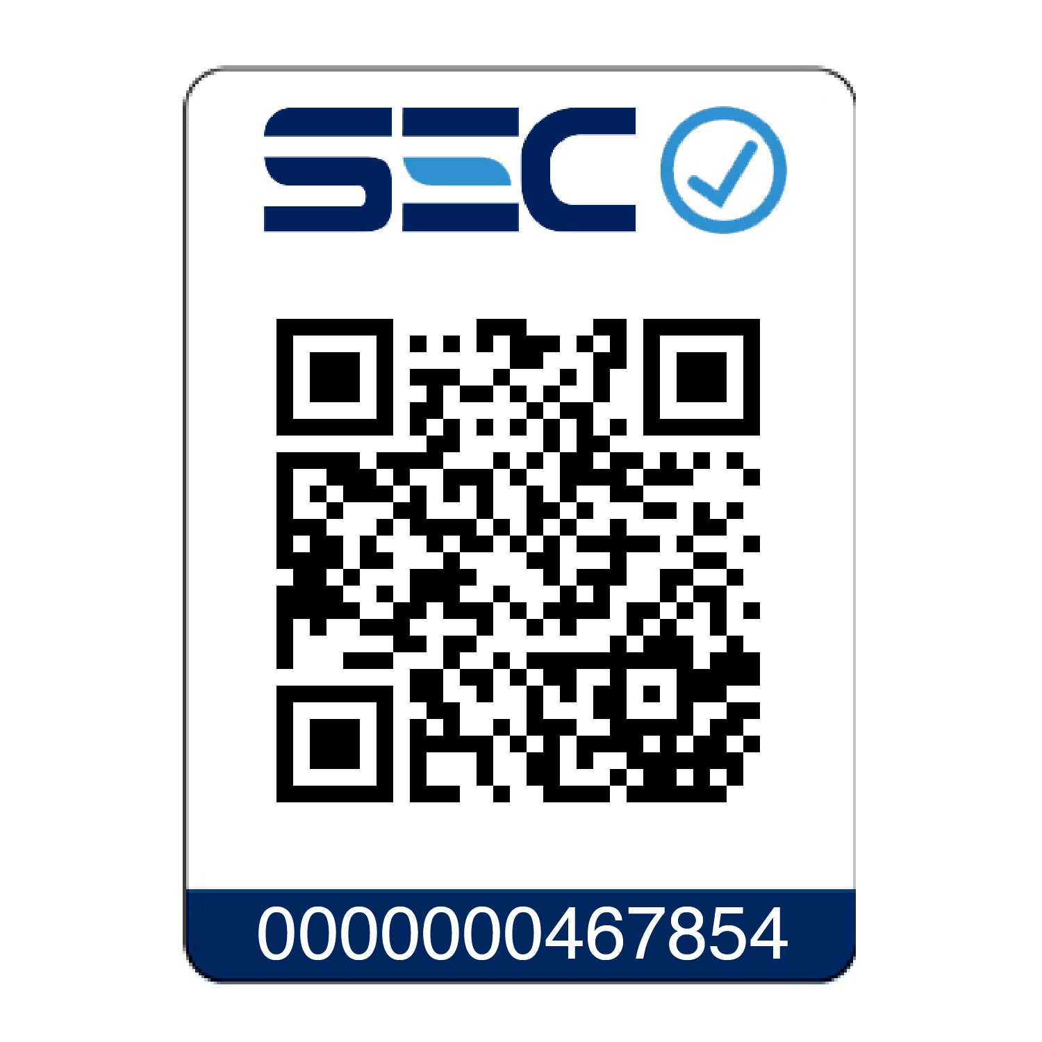 HORNO PIZZERO - OVEN ROVER 360