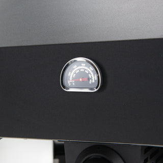 HORNO PIZZERO - OVEN ROVER 12"